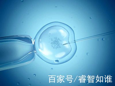 男性因素