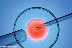 关于冰原生殖